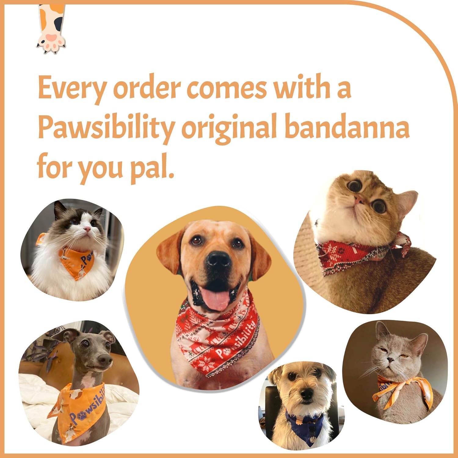 Corta Uñas De Mascota Con Luz Ultrabrillante