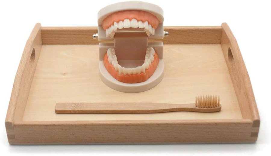 Aprendizaje Montessori Cepillado De Dientes