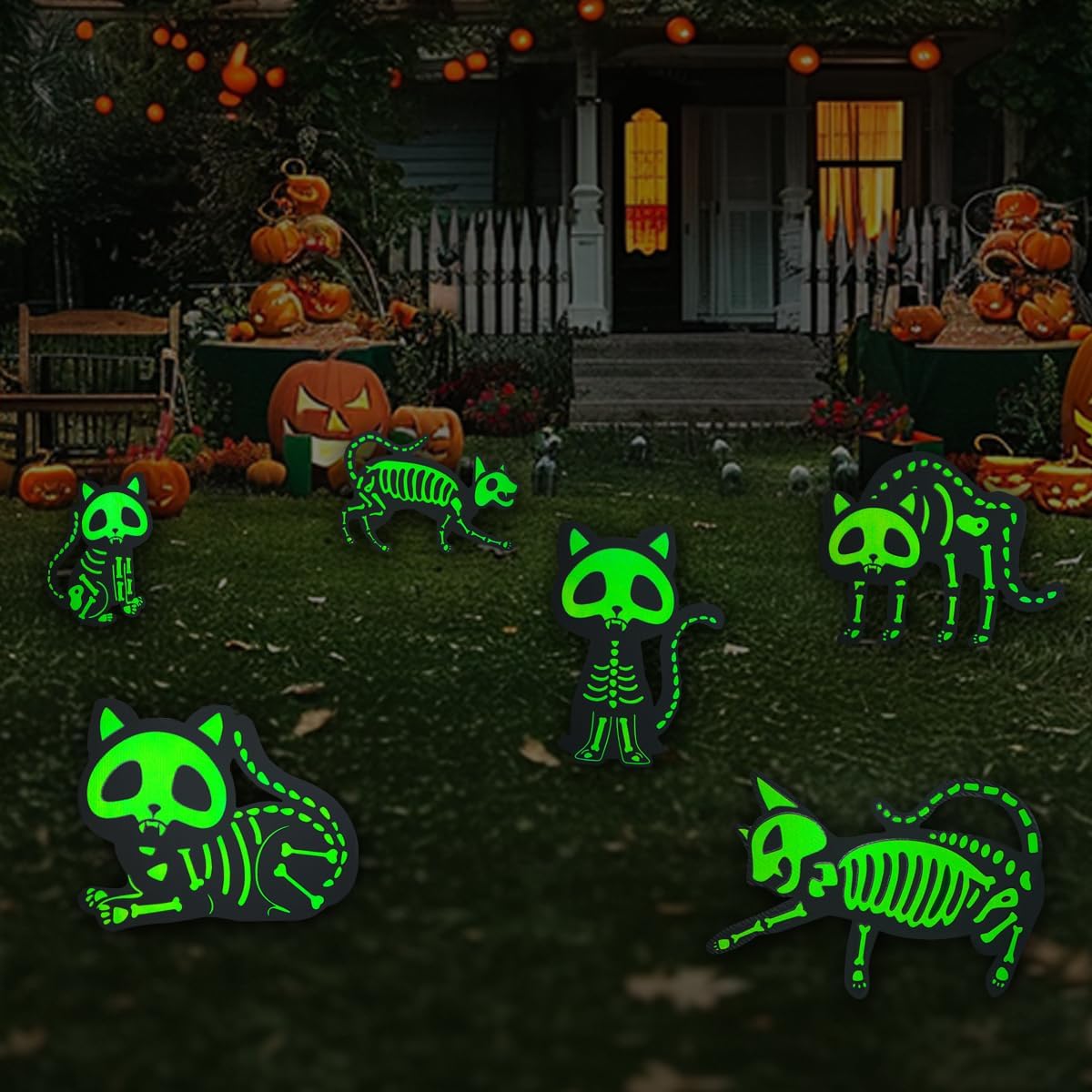 Letreros De Gato Brillo Nocturno Deco Halloween