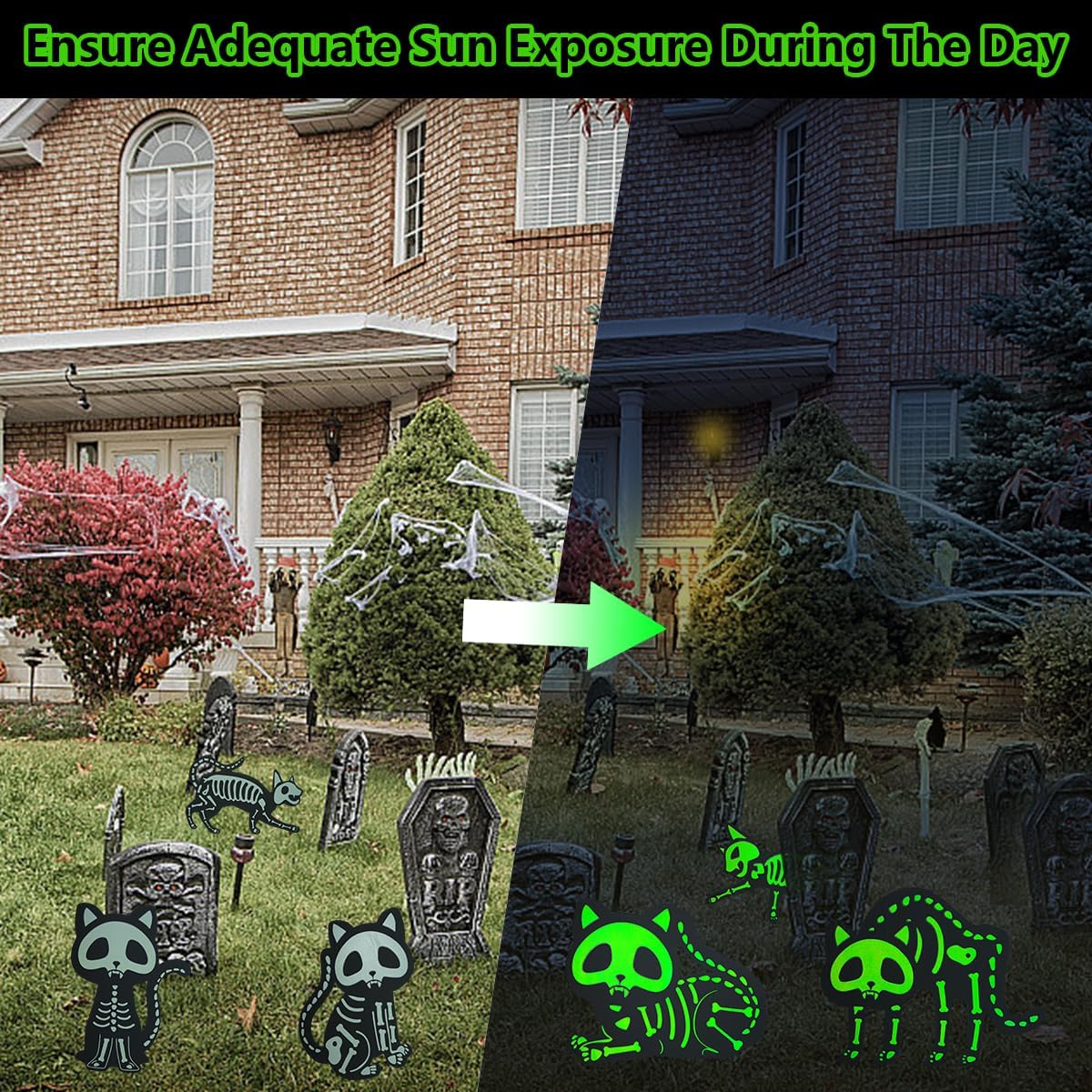 Letreros De Gato Brillo Nocturno Deco Halloween