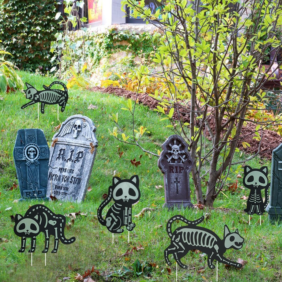 Letreros De Gato Brillo Nocturno Deco Halloween