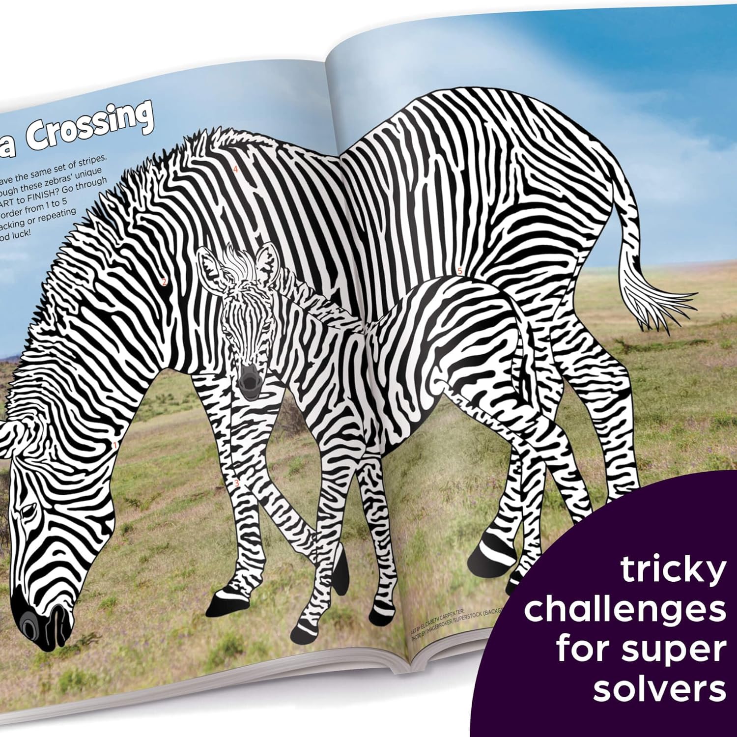 Libro De Actividades Infantiles 256 Páginas